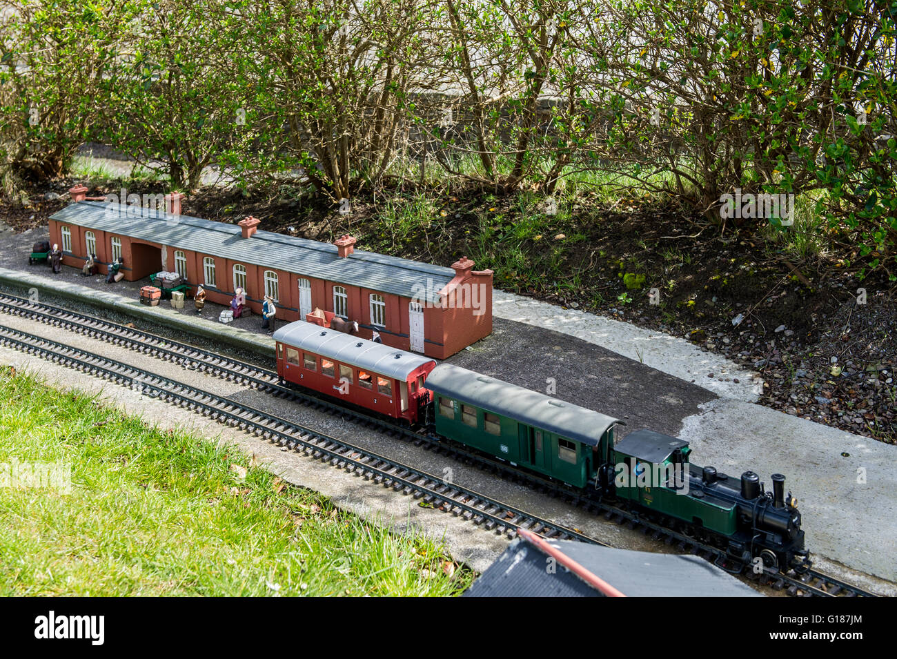 Un modello di treno a vapore che viaggia lungo la linea ferroviaria a Clonakilty modello Villaggio Ferroviario, West Cork, Irlanda. Foto Stock
