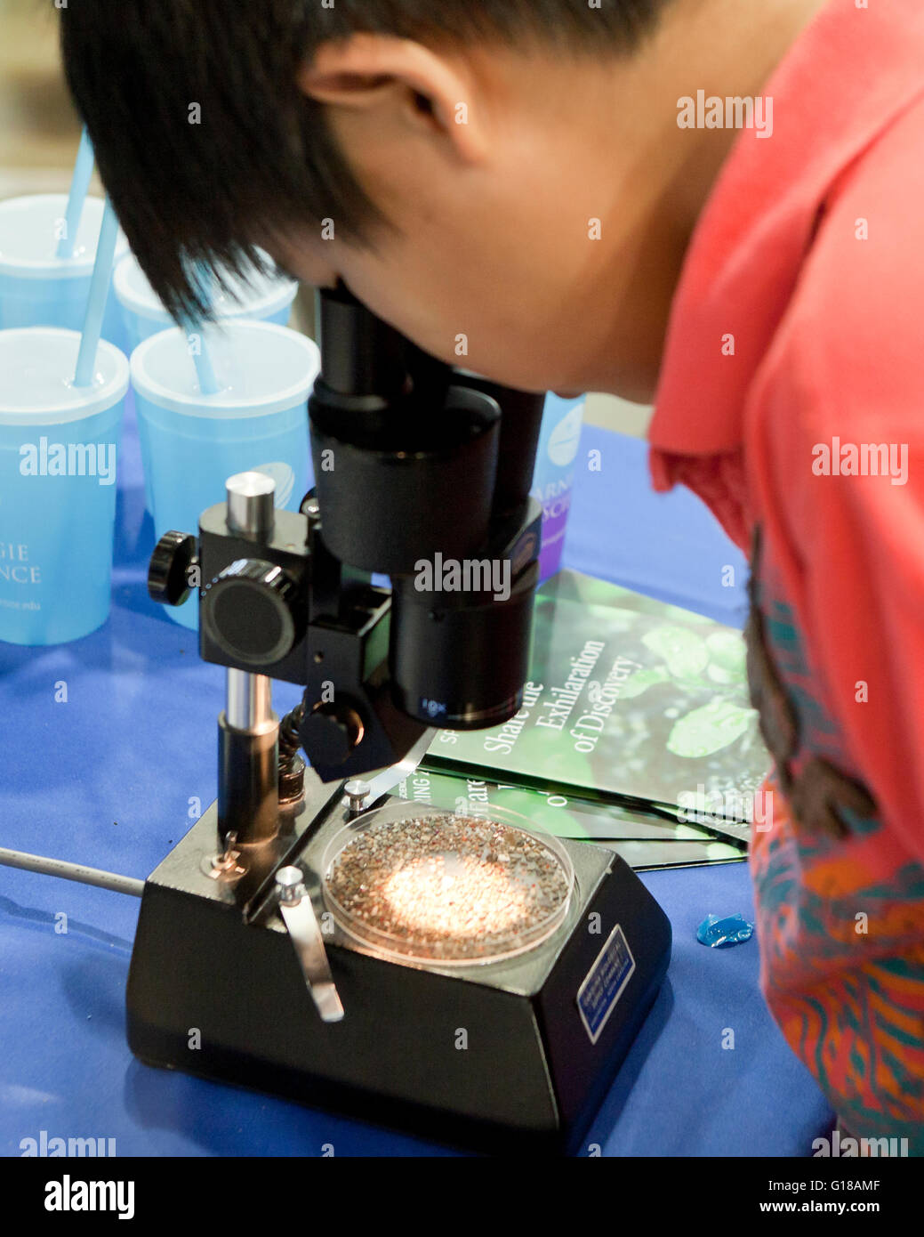 Asian boy guardando attraverso il microscopio a fiera della scienza - USA Foto Stock