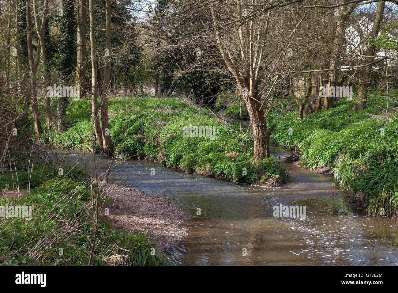 Fiume Alne a Henley in Arden, Warwickshire, Inghilterra Foto Stock