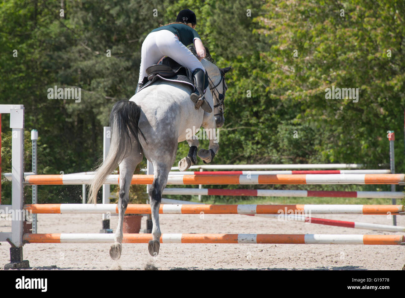 Horse jumping ostacolo - showjumping Foto Stock