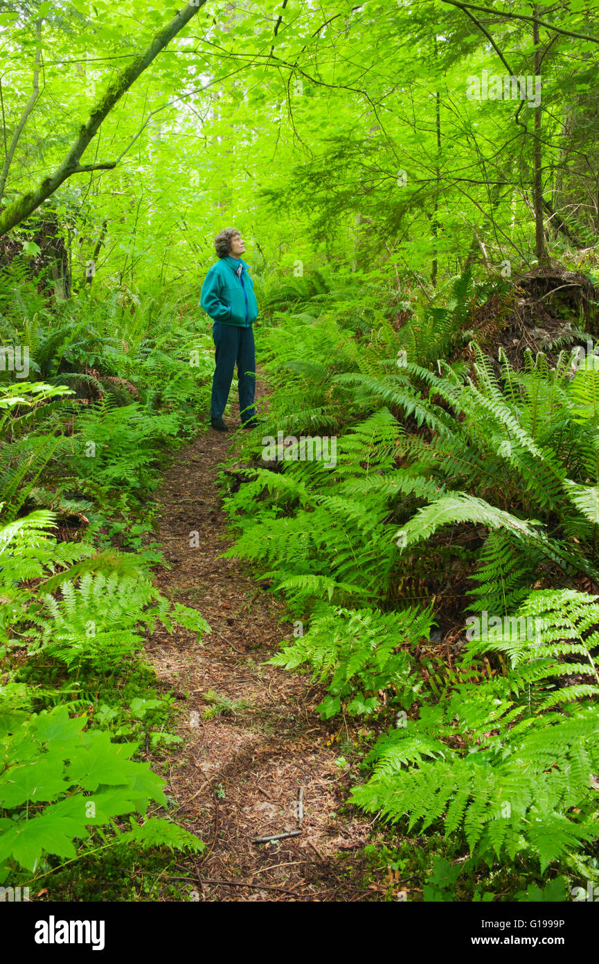 Molla a piedi in Deering acri di fiori selvaggi, Marysville Park, Snohomish County, nello Stato di Washington Foto Stock