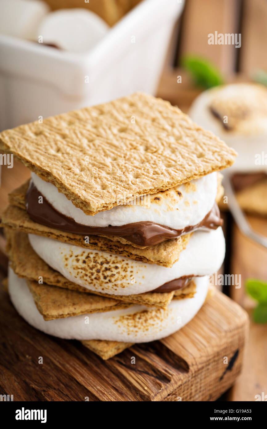 Picnic smores dessert con marshmallow Foto Stock