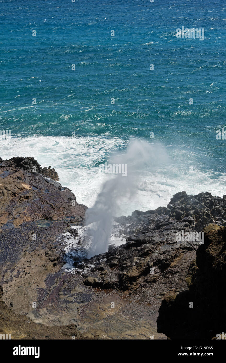 Halona Blowhole schizzando spruzzo su Oahu Hawaii Foto Stock