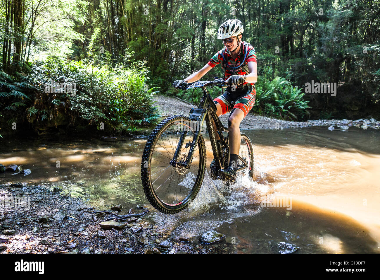 Gli amanti della mountain bike racing in Tasmania Wildside dell evento di MTB. Foto Stock