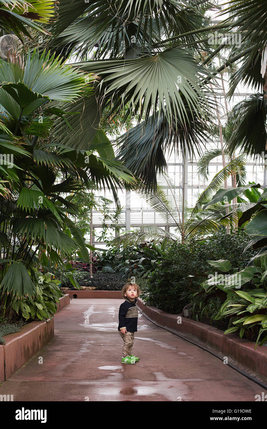 A un anno di età ad esplorare il Garfield Park Conservatory. Foto Stock