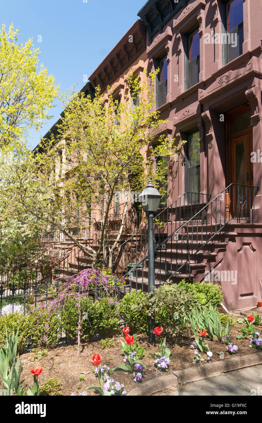 Primavera sbocciano i fiori e pietre marroni, 8th Street, Park Slope Brooklyn, New York, Stati Uniti d'America Foto Stock