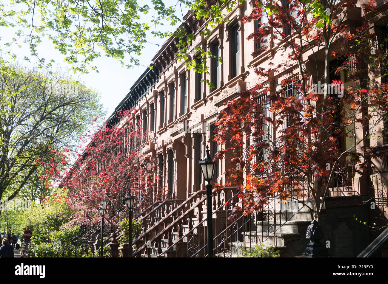 Terrazza di case di arenaria con molla di colore, Park Slope, Brooklyn, New York, Stati Uniti d'America Foto Stock