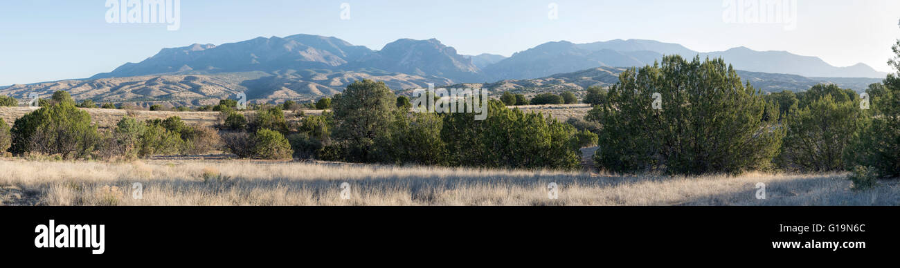 Panorama della gamma nero, Gila National Forest, Nuovo Messico. Foto Stock