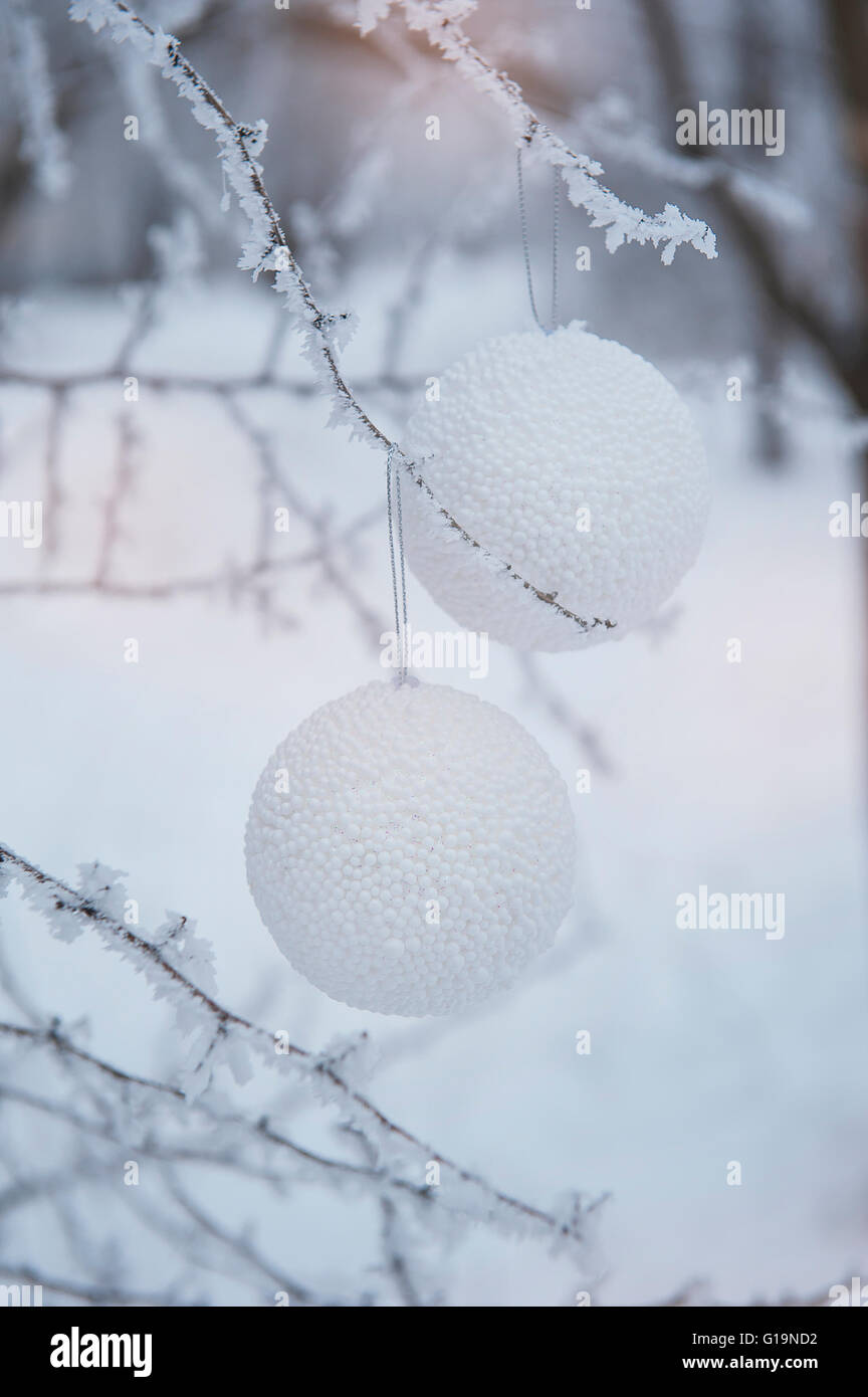 Sfere hristmas bianco su sfondo innevato Foto Stock