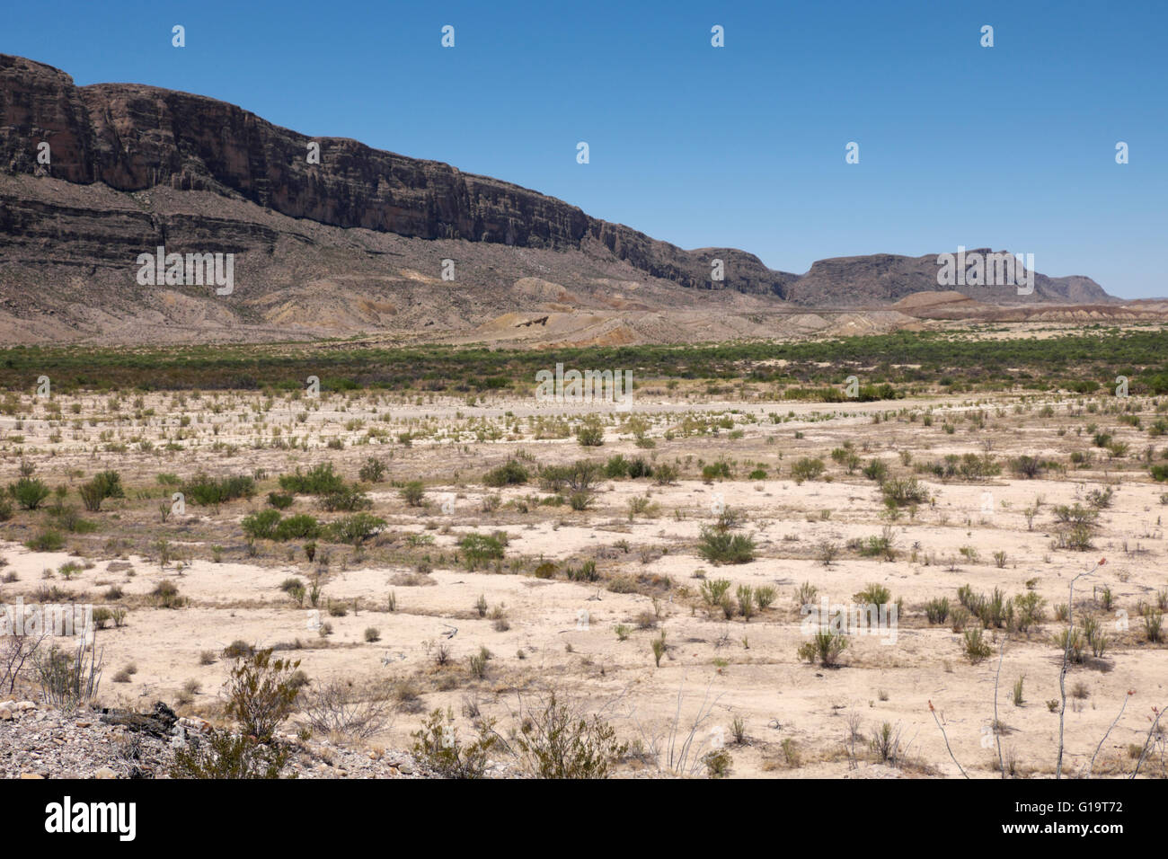 Deserto pianura alluvionale nel Parco nazionale di Big Bend. La distanza è la Santa Elena scarpata. Foto Stock