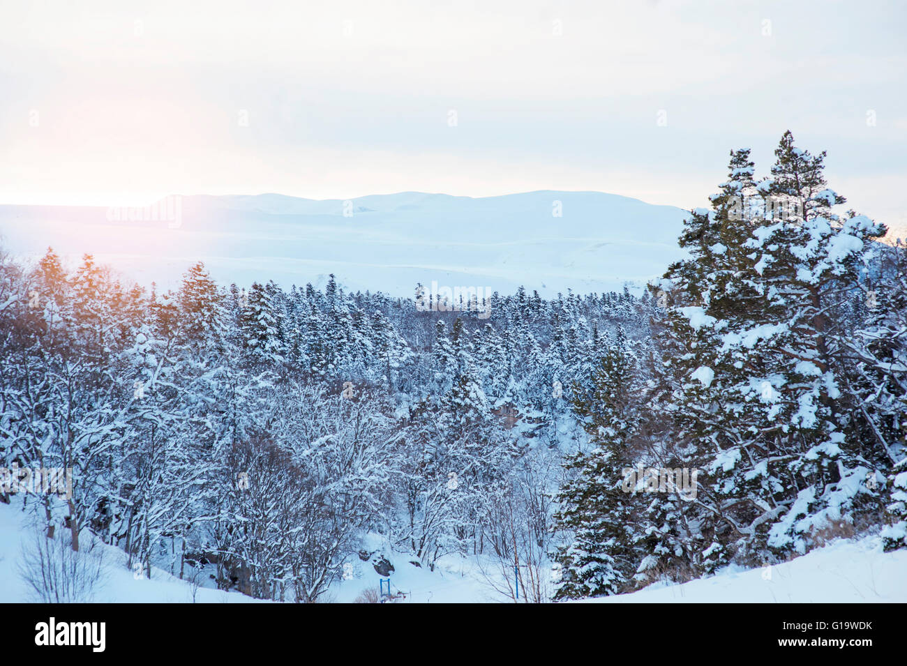 In inverno la foresta e il sole di setting Foto Stock