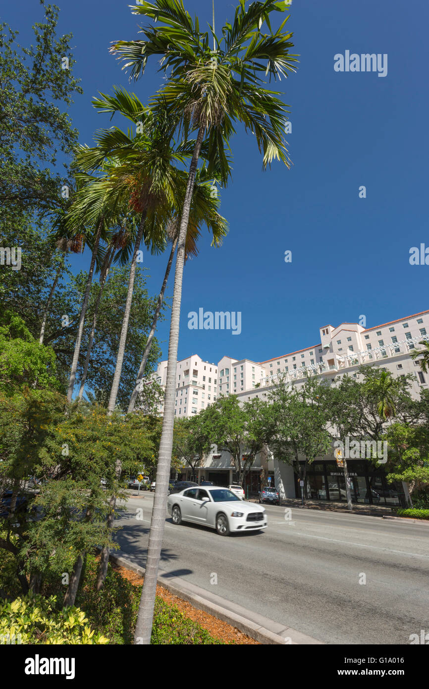 MIRACLE MILE CORAL GABLES FLORIDA USA Foto Stock