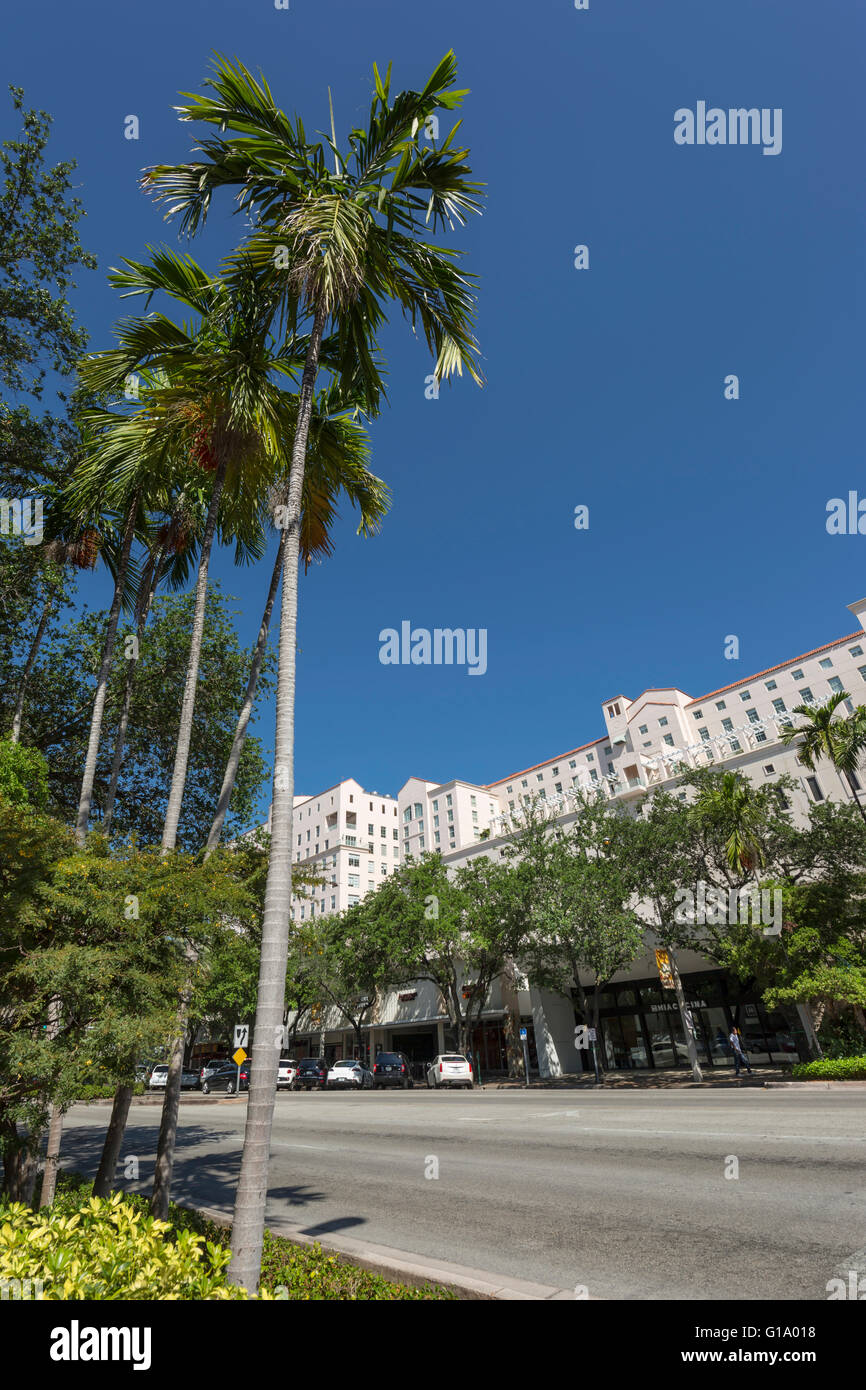 MIRACLE MILE CORAL GABLES FLORIDA USA Foto Stock