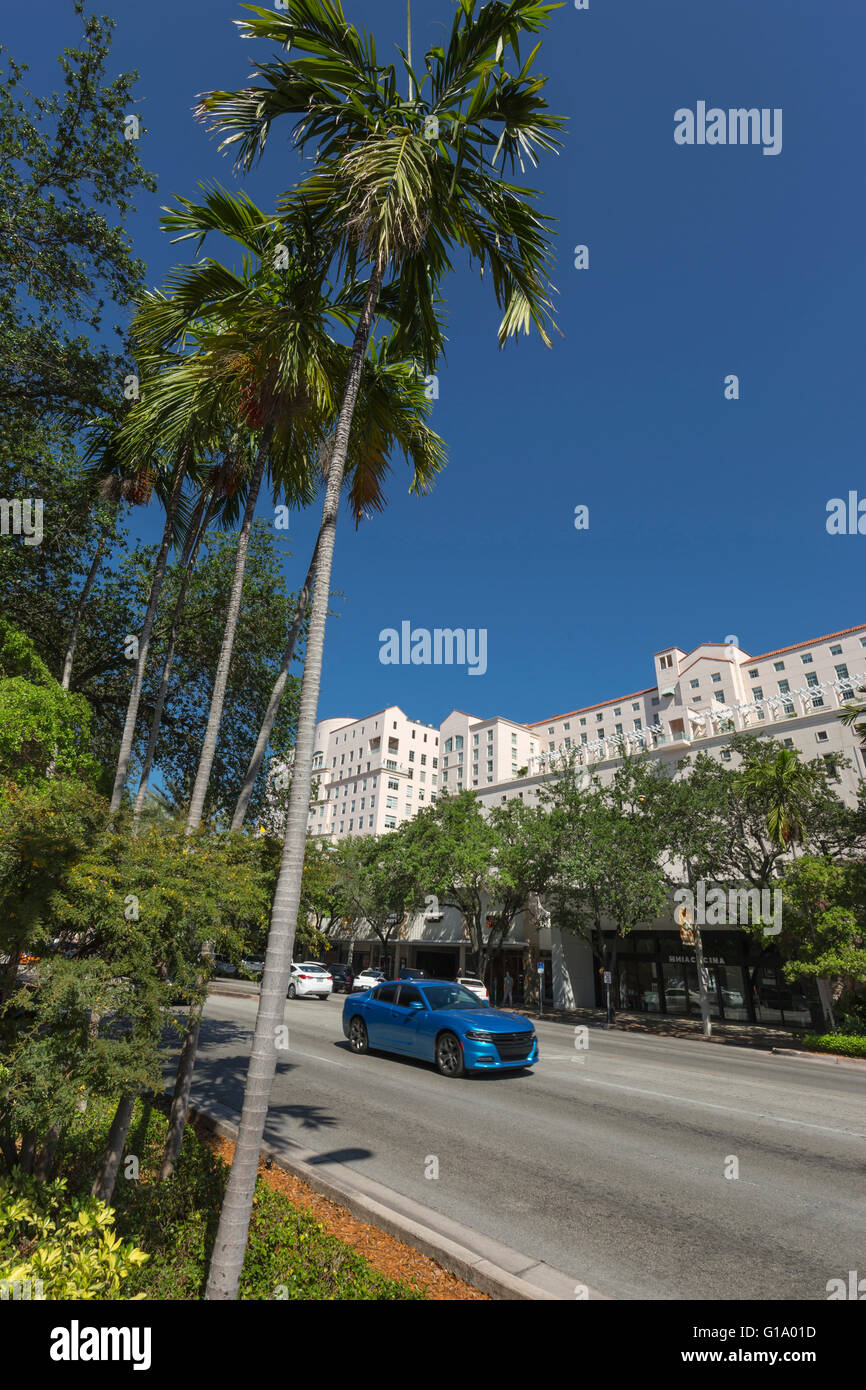 MIRACLE MILE CORAL GABLES FLORIDA USA Foto Stock