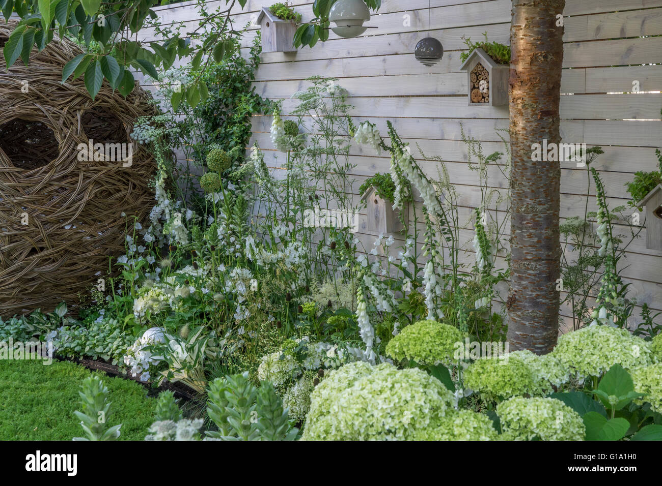 Un giardino basato su bianco con un recinto di bianco e la semina. RHS Hampton Court mostrano giardini 2015 - Paesaggi viventi: Città Twitcher Foto Stock