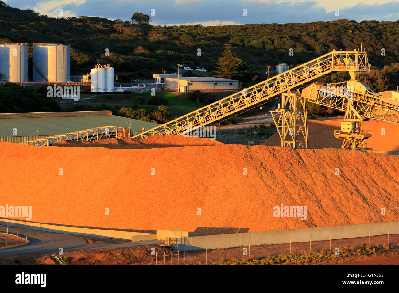 Trucioli di legno su Wharf,Albany porta, Australia occidentale Foto Stock