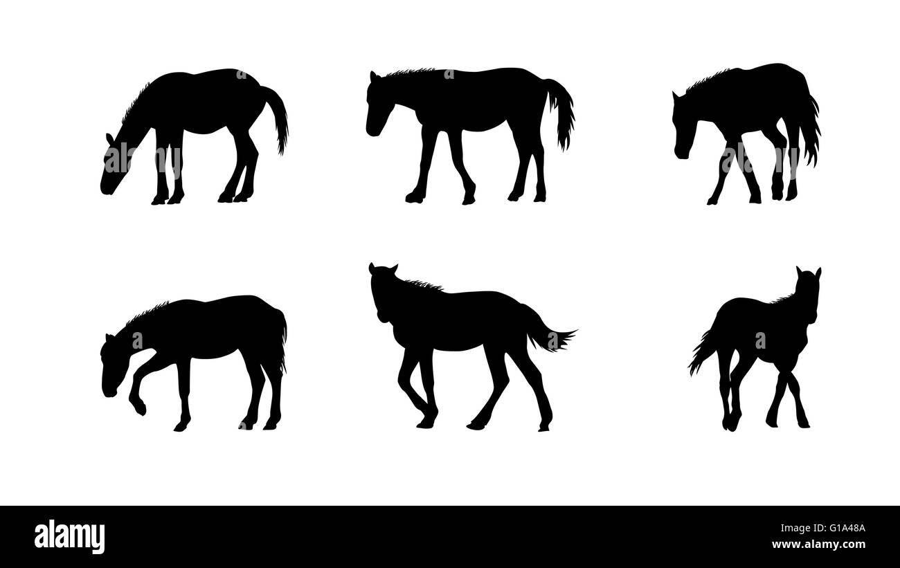 Corse di cavalli, luppolo, galoppa isolati su sfondo bianco Illustrazione Vettoriale