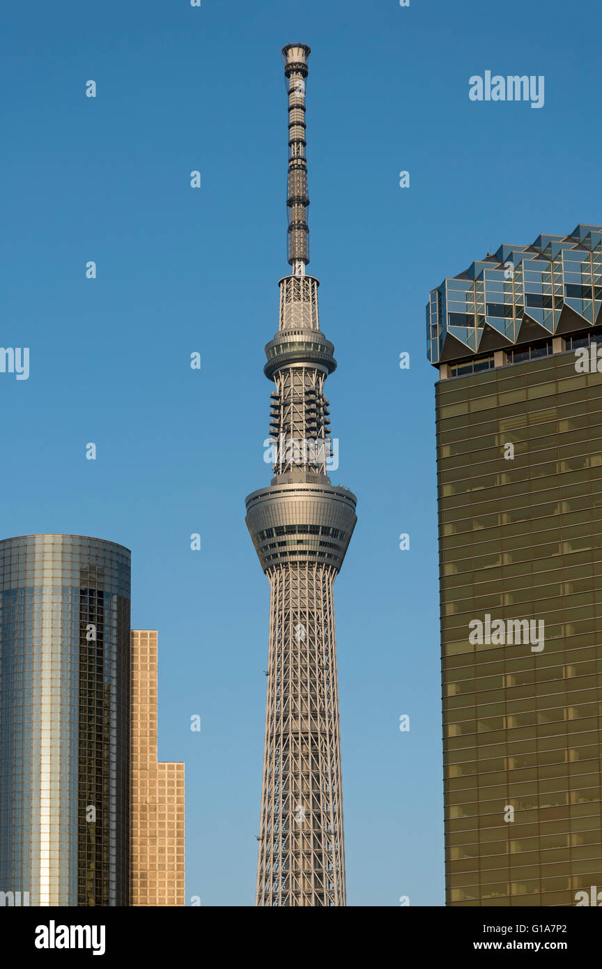 Sumida Ward Office, Skytree Tower e Asahi Headquarters Building, Tokyo, Giappone Foto Stock