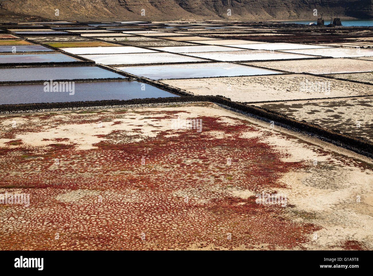 Mare tradizionale per la produzione di sale, a Salinas de Janubio, Lanzarote, Isole Canarie, Spagna Foto Stock