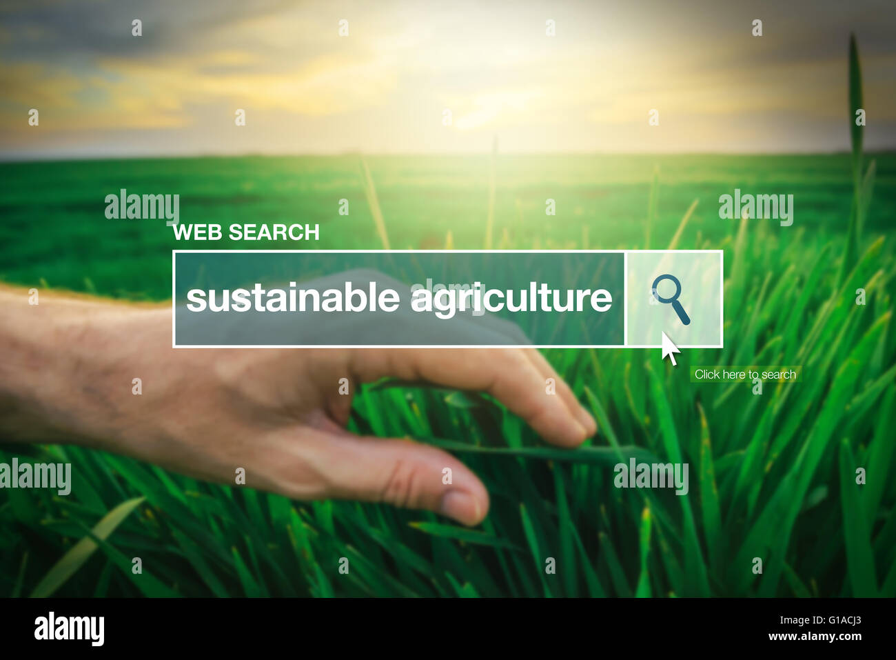 Agricoltura sostenibile - Web search bar Termine del glossario su internet Foto Stock