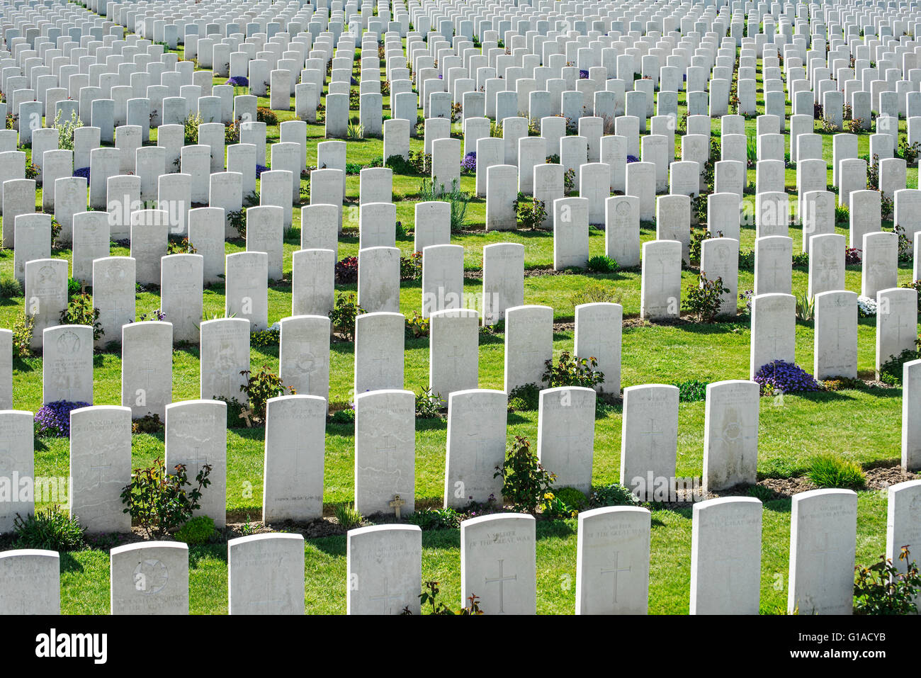 Lapidi bianco a Tyne Cot cimitero, CWGC terreno di sepoltura per la prima guerra mondiale uno soldati britannici, Fiandre Occidentali, Belgio Foto Stock