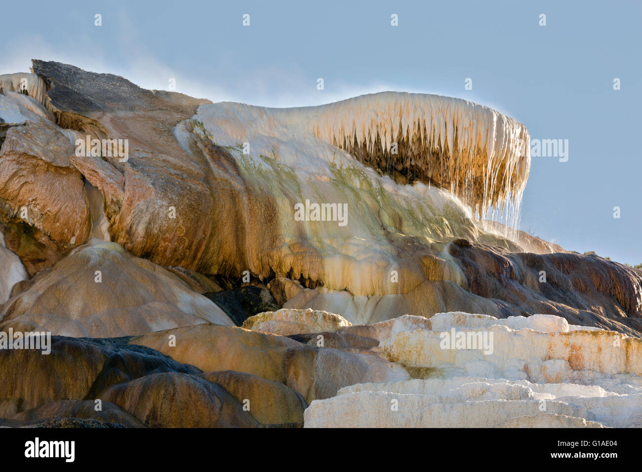 WY01686-00...WYOMING - La Terrazza inferiore a Mammoth Hot Springs nel Parco Nazionale di Yellowstone. Foto Stock