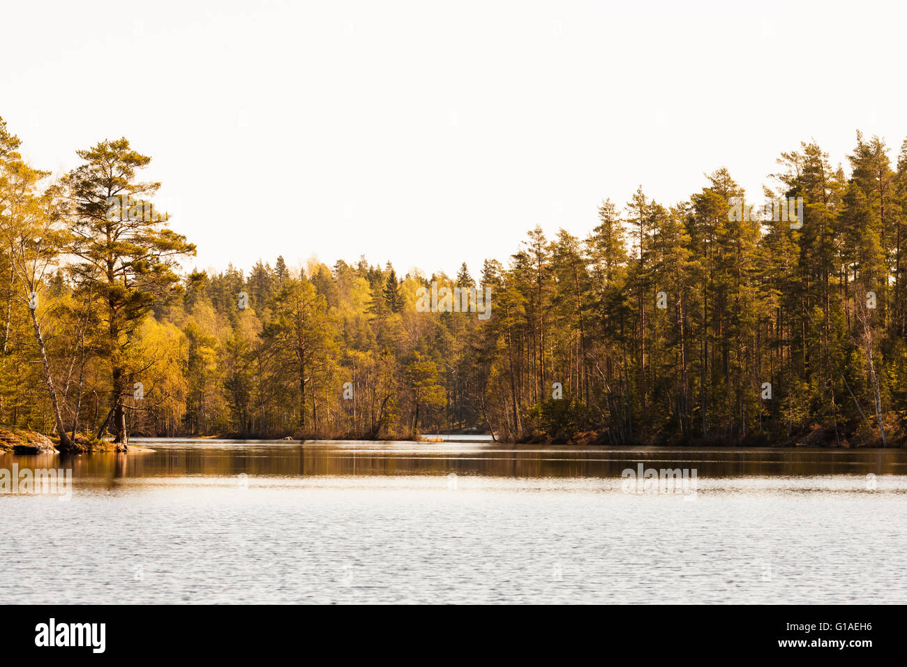 Lago finlandese Foto Stock