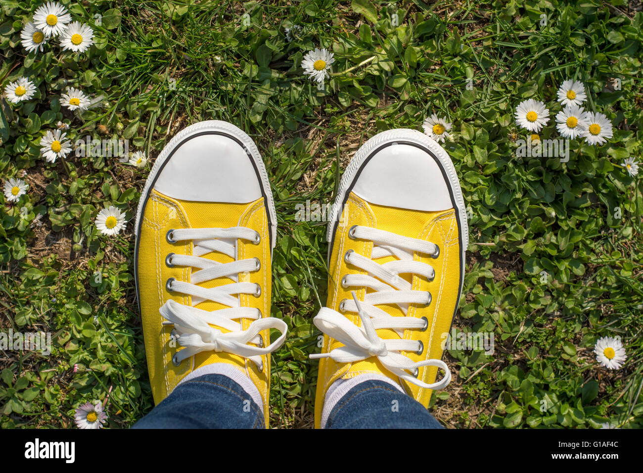 Sneakers giallo in un campo dasiy. Prospettiva in prima persona Foto Stock
