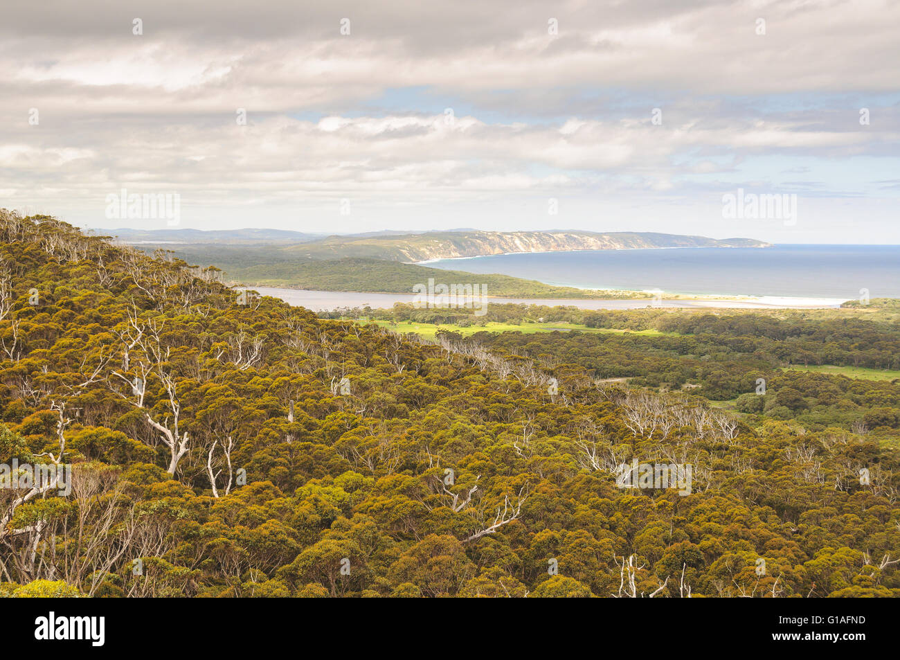 Vista della costa in Danimarca, Australia occidentale Foto Stock