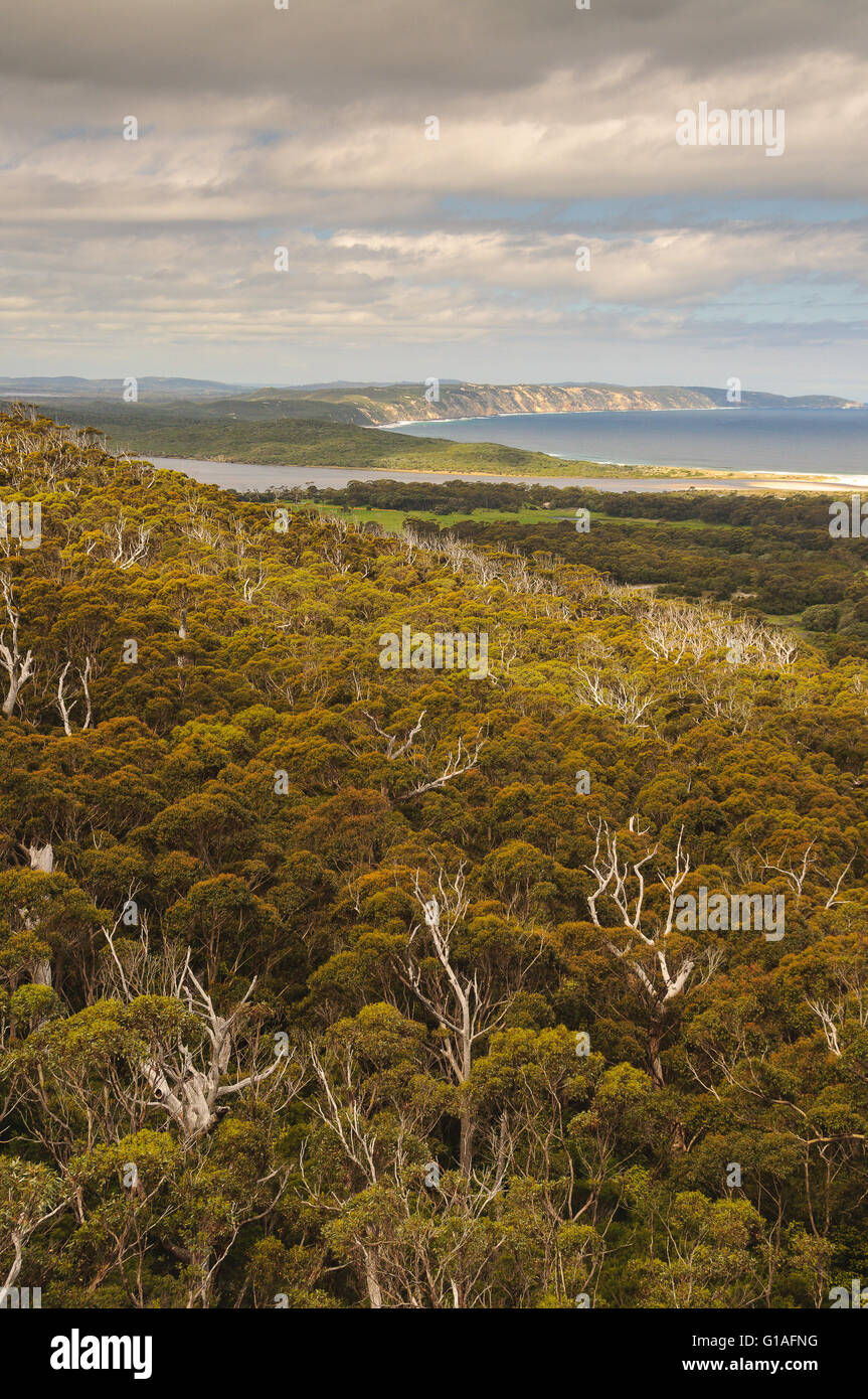 Vista della costa in Danimarca, Australia occidentale Foto Stock