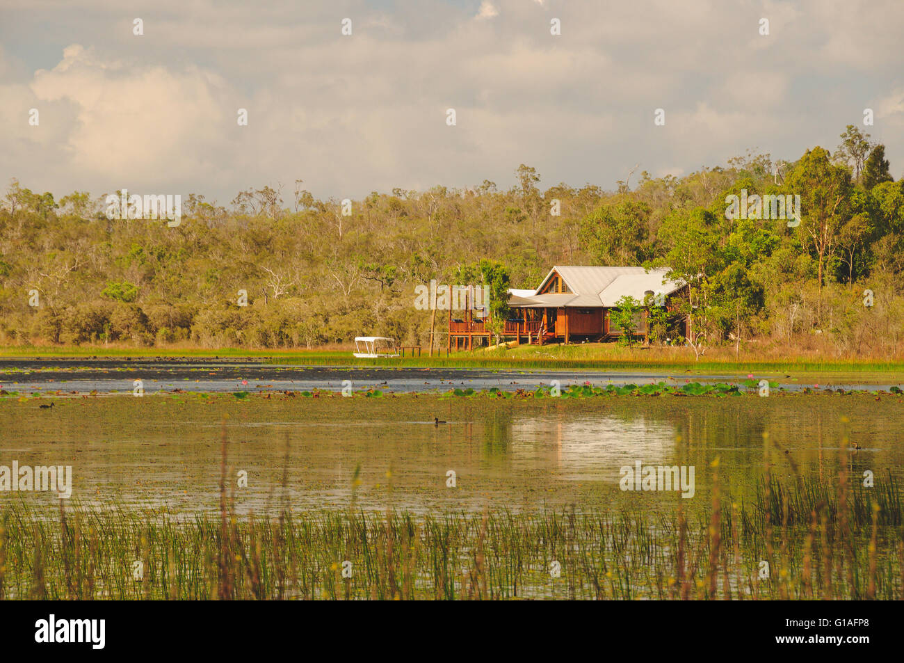 Le zone umide di Mareeba Aeroporto vicino a Cairns, Australia Foto Stock