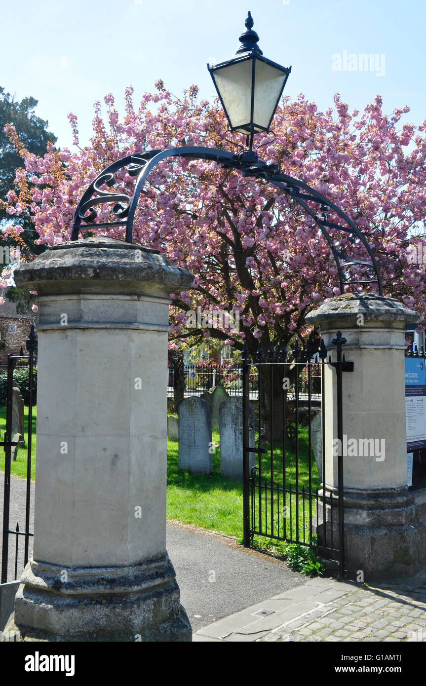 Bucks - Marlow sul Tamigi - pittoresche gateway alla chiesa parrocchiale - pilastri - Ferro battuto - oscurato dalla presenza di fiore rosa - luce a molla Foto Stock