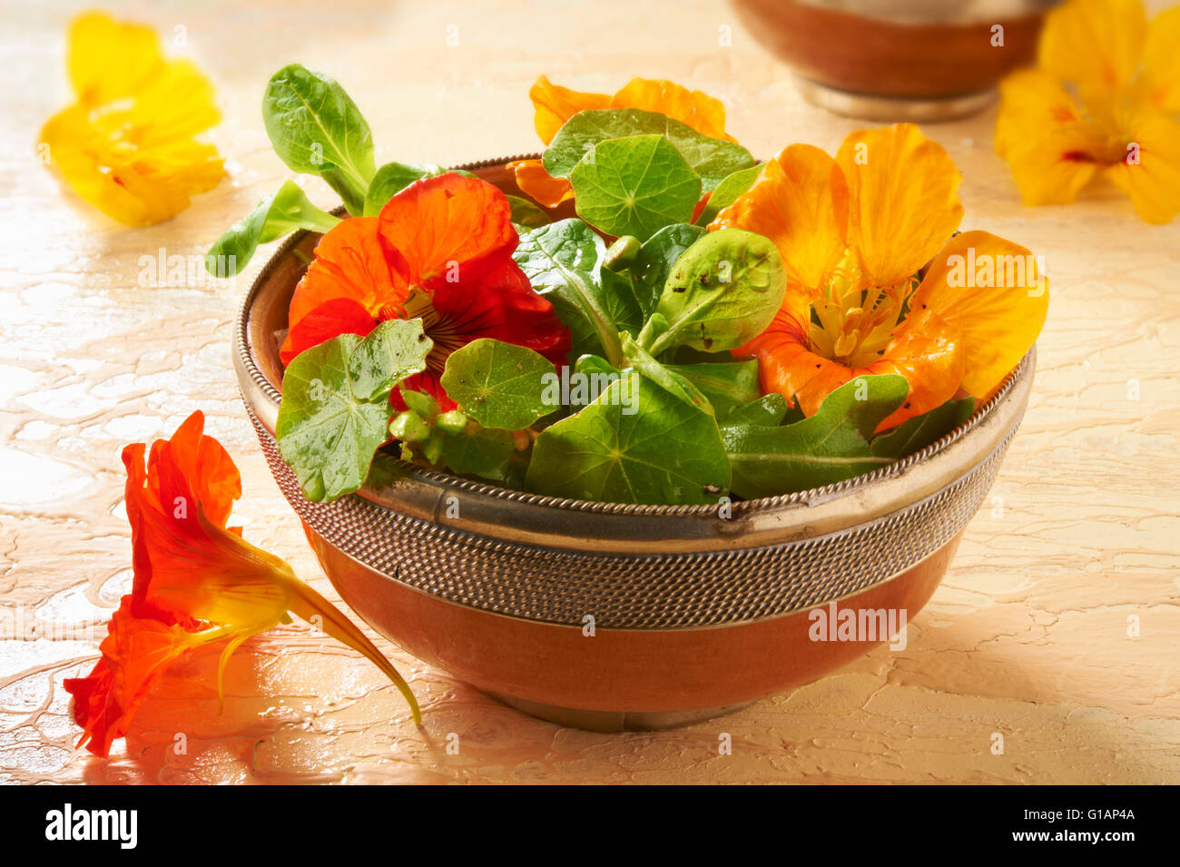 I nasturzi freschi Fiori e foglie di insalata Foto Stock