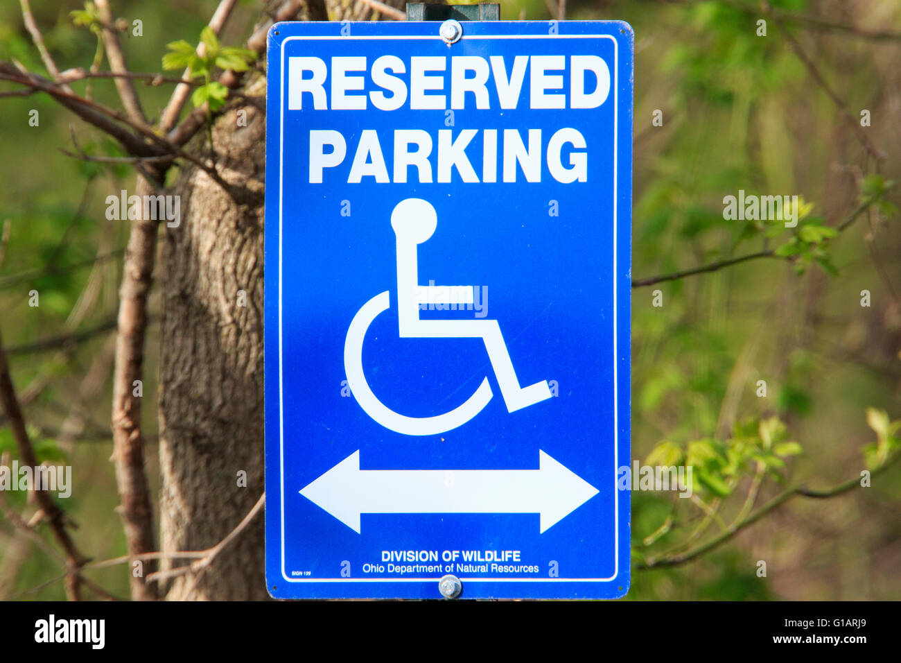 Portatori di handicap segno parcheggiata. Foto Stock