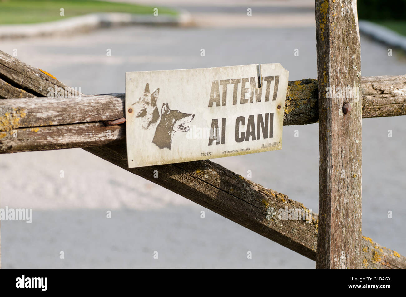 Attenzione al cane Foto Stock