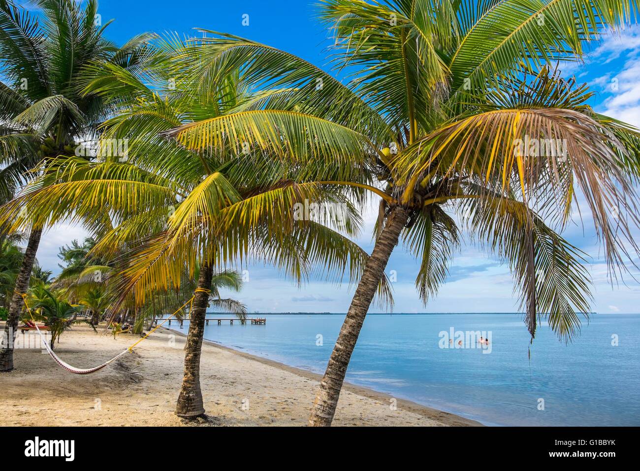 Belize, Stann Creek district, Hopkins, garifuna piccolo villaggio di pescatori e la spiaggia Foto Stock
