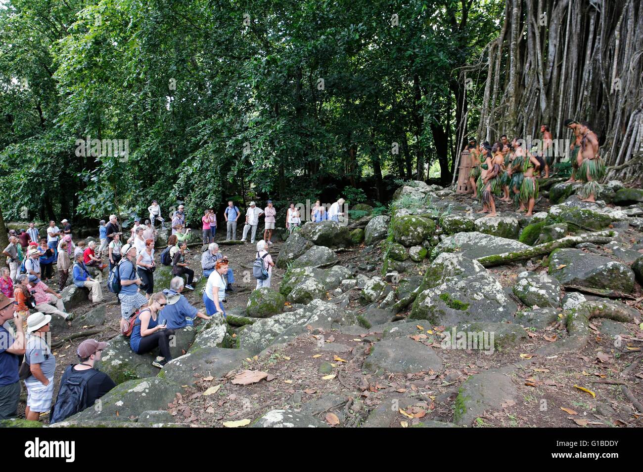 Francia, Polinesia francese, arcipelago delle isole Marchesi, Aranui 5 freighter e nave passeggeri Crociera, Porto di scalo in Nuku Hiva isola, villaggio di Hatiheu, marquesan danze da un enorme banian tree a tutta Tohuas Maikuku (open air templi) Foto Stock