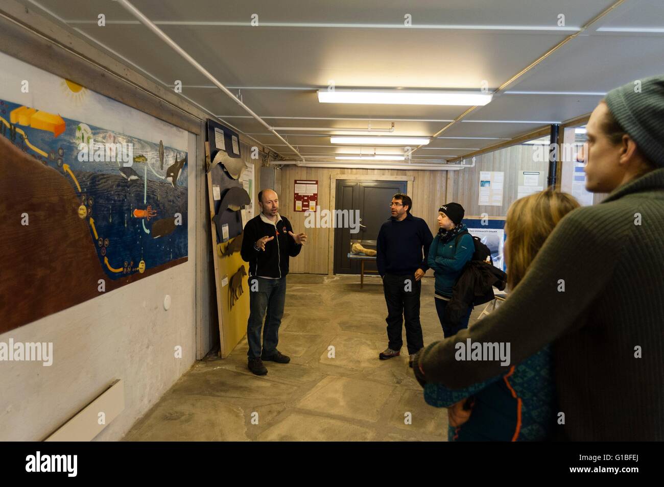 Norvegia Isole Vesteralen, Andenes, Museo Whalesafari Foto Stock