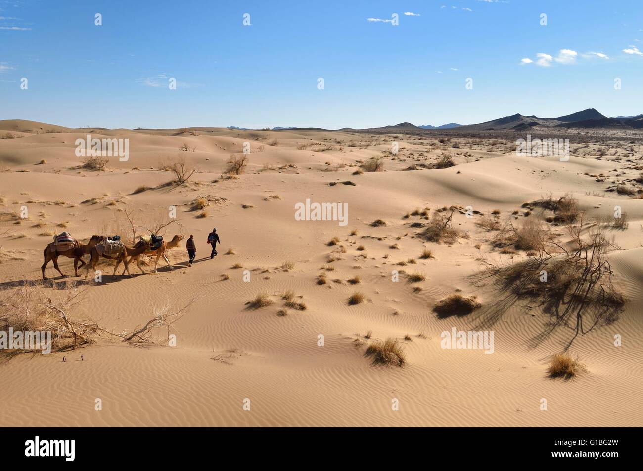 Iran, provincia di Isfahan, Dasht-e Kavir deserto, Mesr in Khur e Biabanak County, camel train nelle dune in un cammello trek Foto Stock