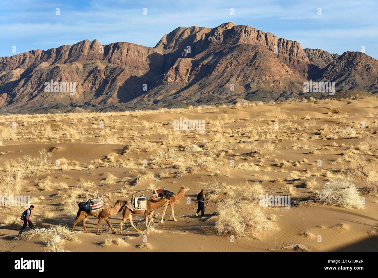 Iran, provincia di Isfahan, Dasht-e Kavir deserto, Mesr in Khur e Biabanak County, camel train in un cammello trek ai piedi della catena montuosa di Dareh bidan Foto Stock