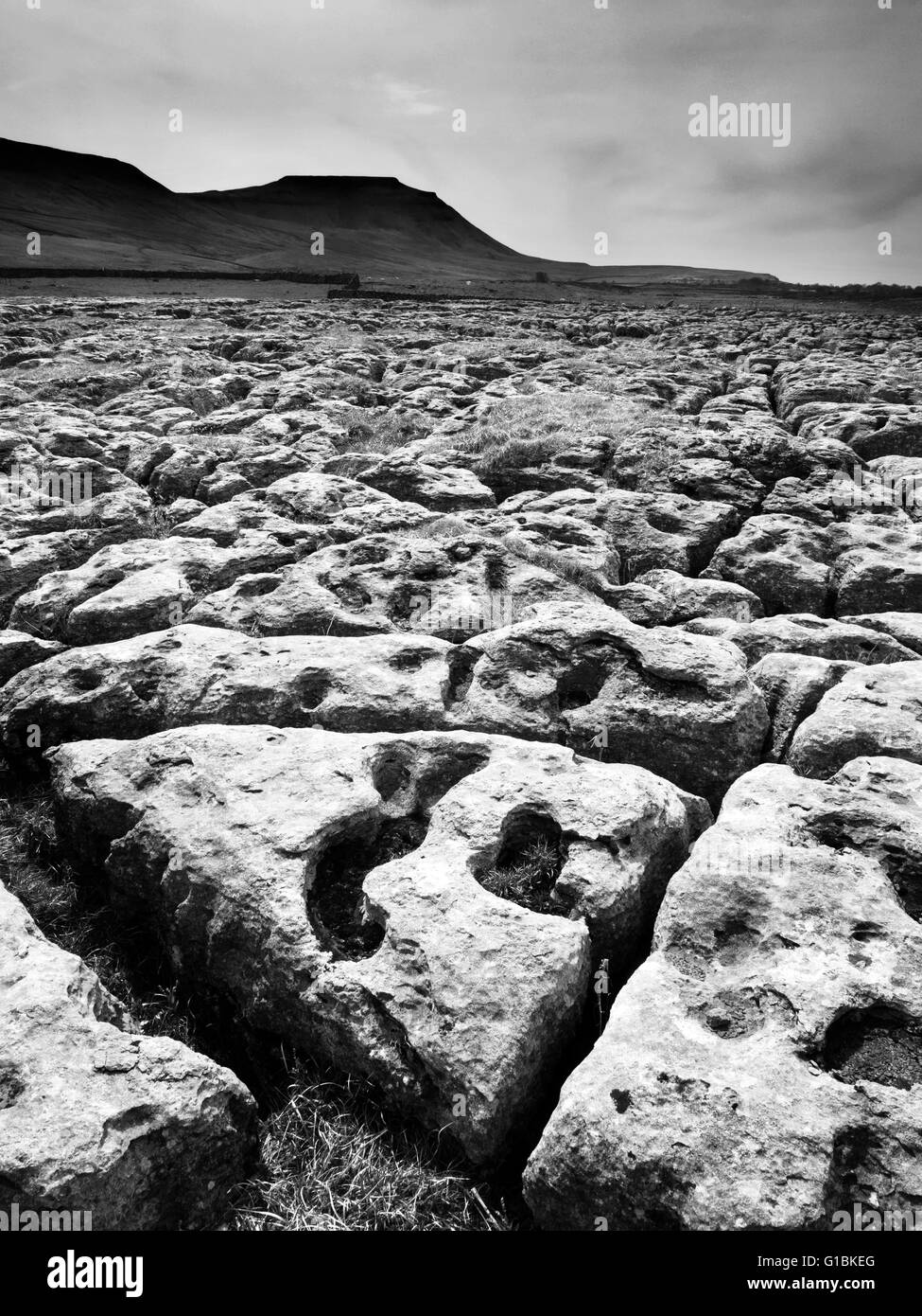 Pavimentazione di pietra calcarea e Ingleborough dal pascolo Sleights vicino a Ribblehead Yorkshire Dales Inghilterra Foto Stock
