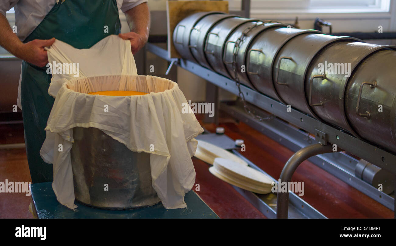 Uomo di formaggio di imballaggio pronto per l'elaborazione Foto Stock