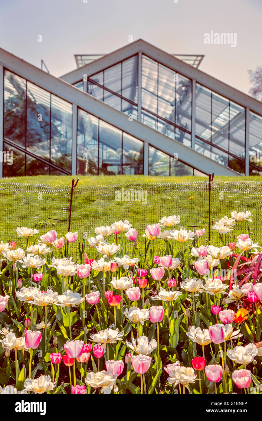 La principessa di Galles serra a Kew Gardens, a sud ovest di Londra, Inghilterra. Foto Stock