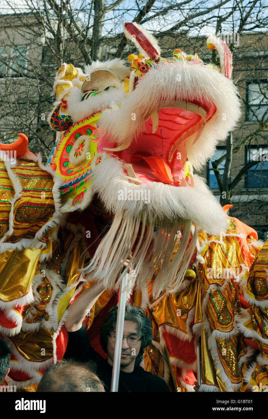 Dragon Dance, nuovo anno cinese, quartiere internazionale, Seattle, Washington Foto Stock