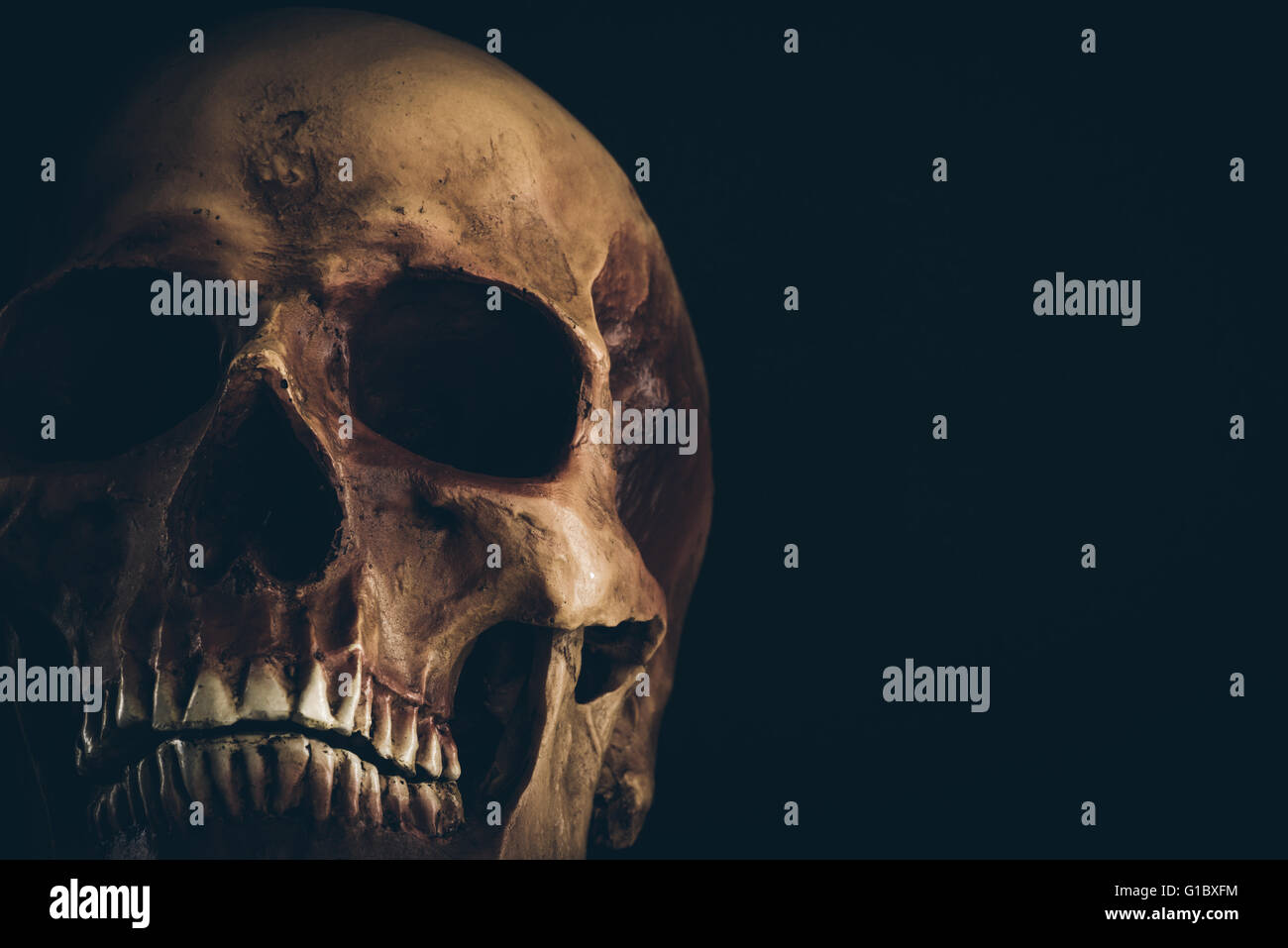 Creepy old skull close up su sfondo nero, morte e mistero concept Foto Stock