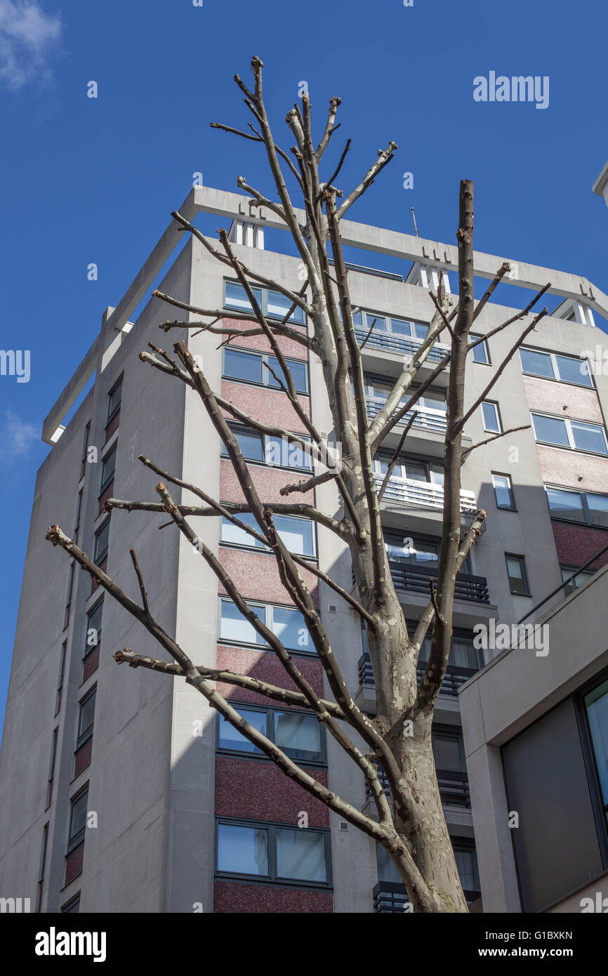 Un albero Foto Stock