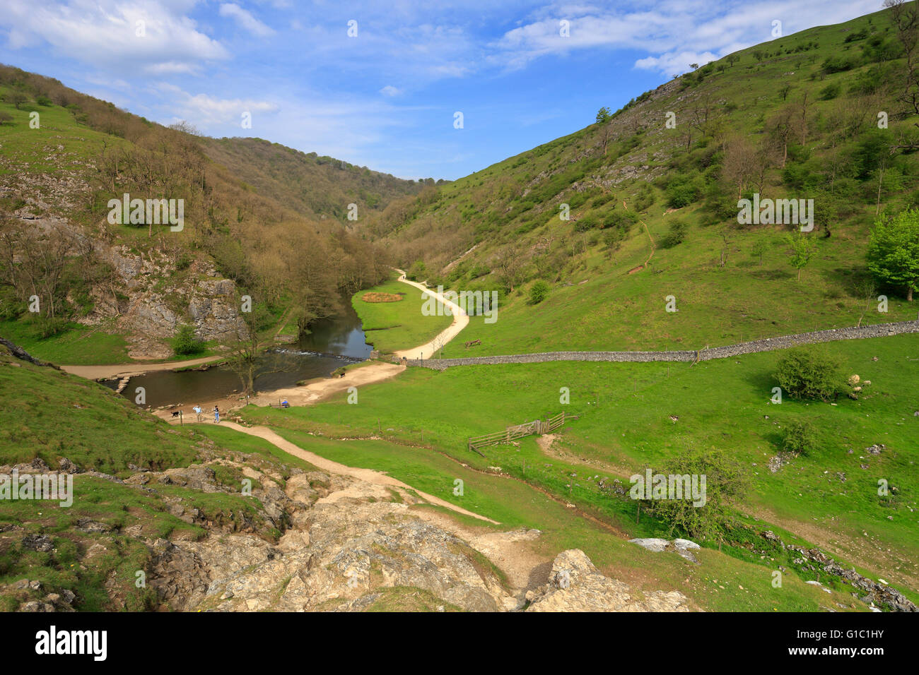 Dovedale e fiume colomba dal Thorpe Cloud, Parco Nazionale di Peak District, Derbyshire, Staffordshire, Inghilterra, Regno Unito. Foto Stock