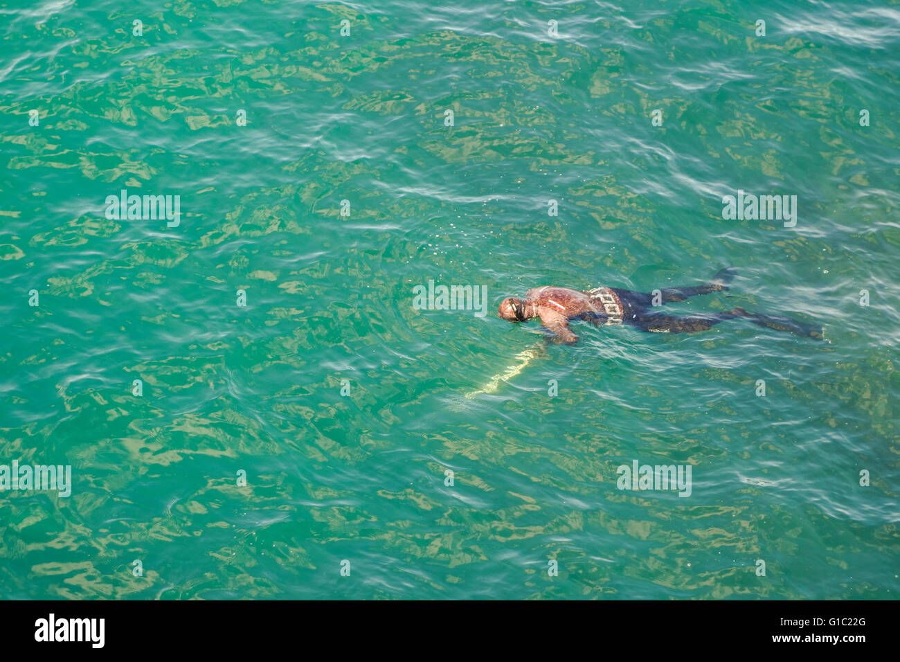 L uomo lo snorkeling, la cattura del pesce, Biarritz, Paese Basco, Francia Foto Stock
