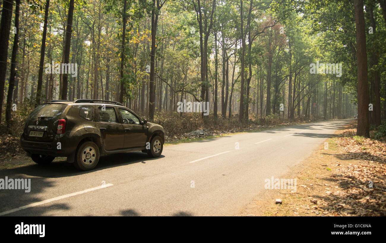 La Renault Duster 4x4 AWD sceglie una strada meno trafficata nelle foreste del parco di cittadino di Corbett , Uttarakhand in cerca di pace Foto Stock