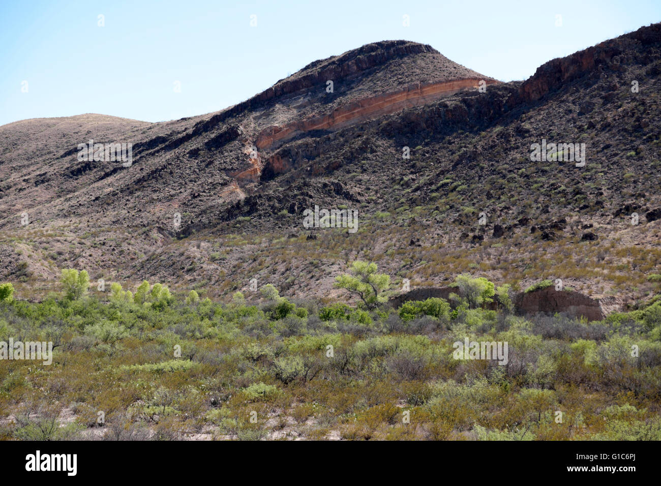 Una roccia ignea cupola nelle montagne di Chisos, parco nazionale di Big Bend, Texas. Foto Stock